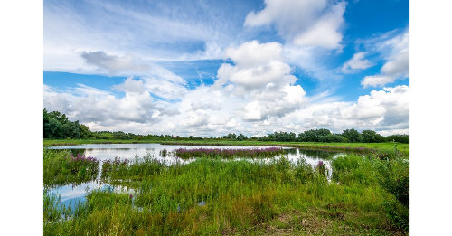 Kruibeke